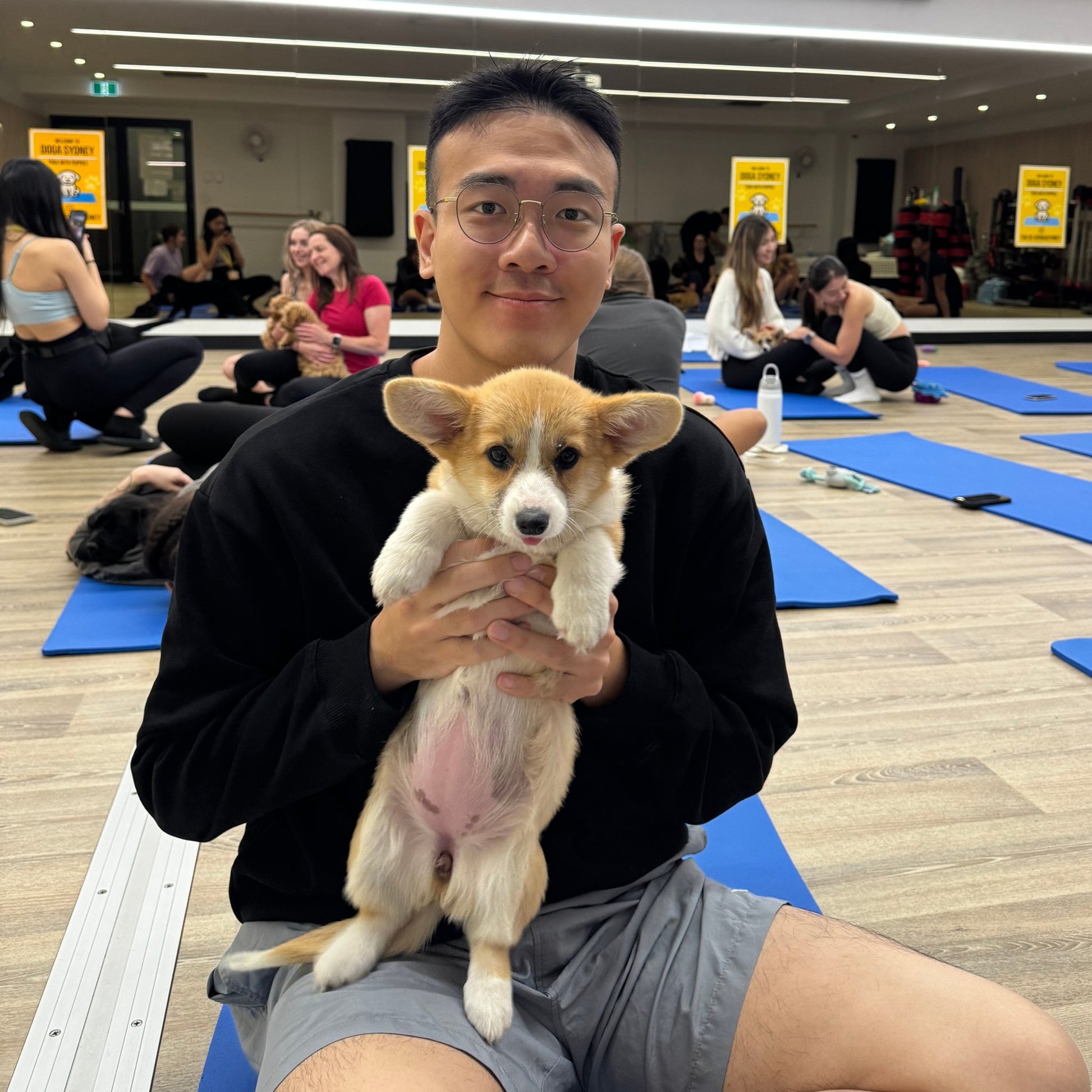 Rhodes | Puppy Yoga - Doga Sydney