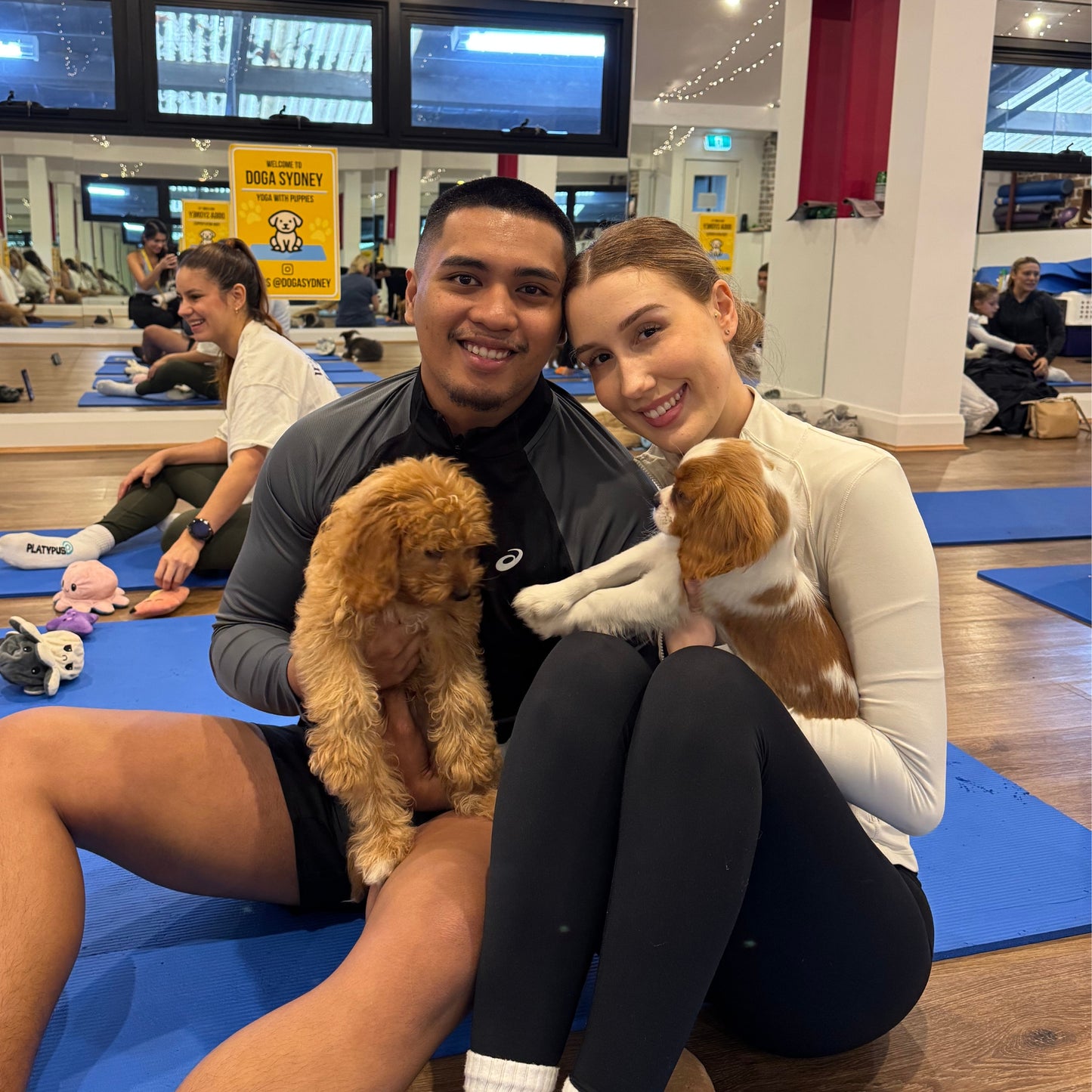 Summer Hill | Puppy Yoga - Doga Sydney