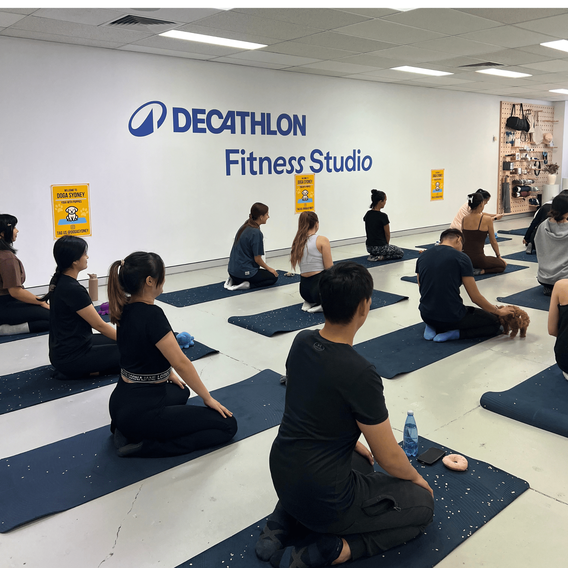 Wynyard (Sydney CBD) | Puppy Yoga - Doga Sydney