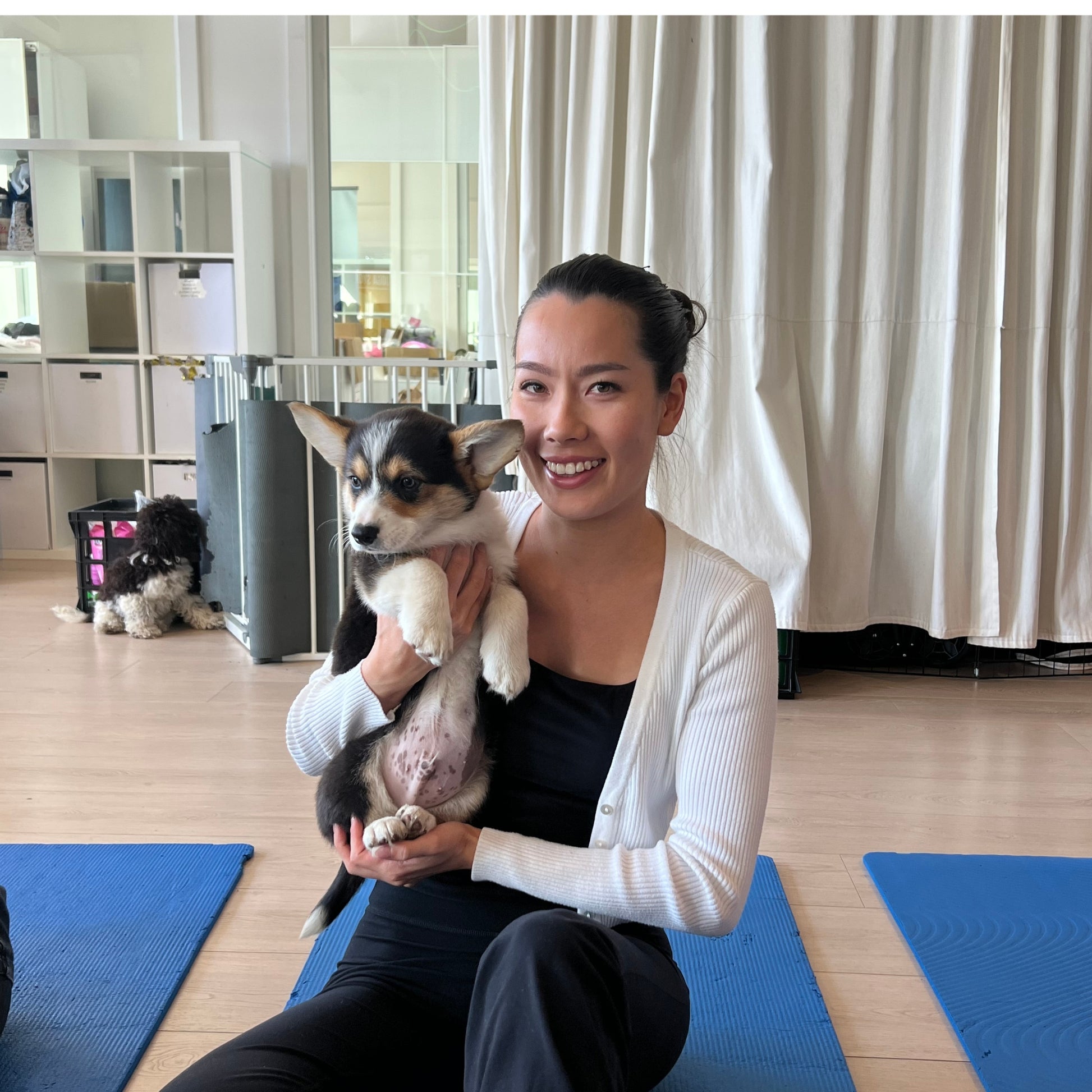 Five Dock | Puppy Yoga - Doga Sydney