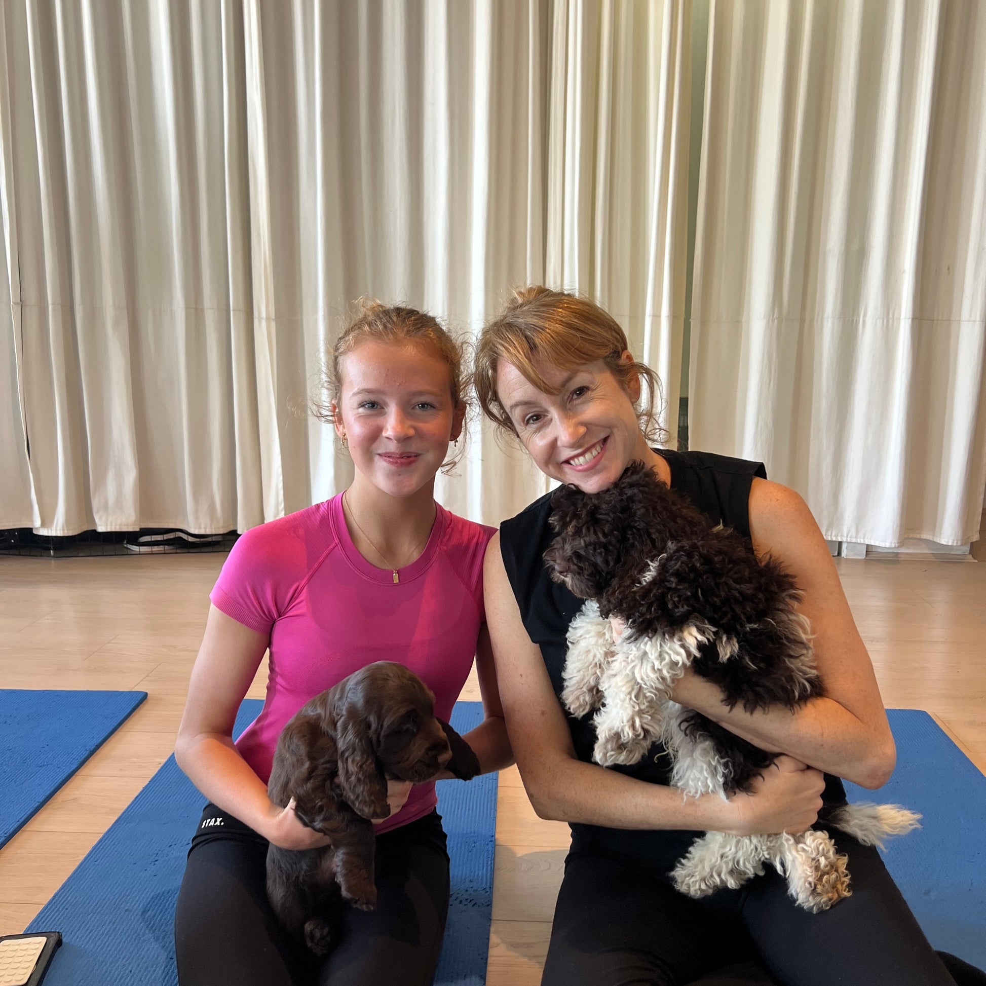 Five Dock | Puppy Yoga - Doga Sydney
