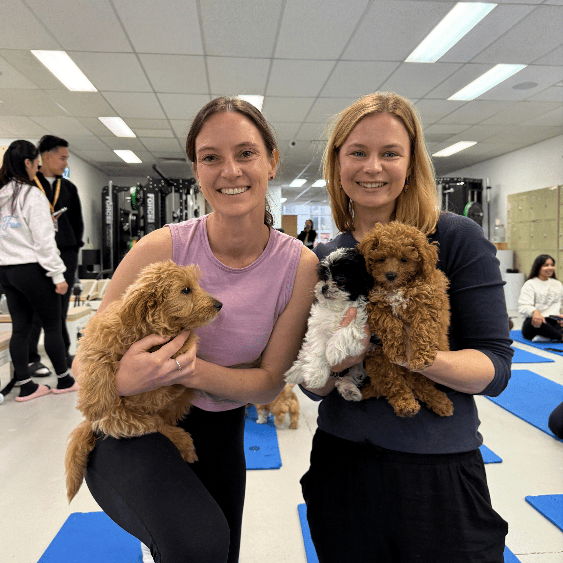 Wynyard (Sydney CBD) | Puppy Yoga - Doga Sydney