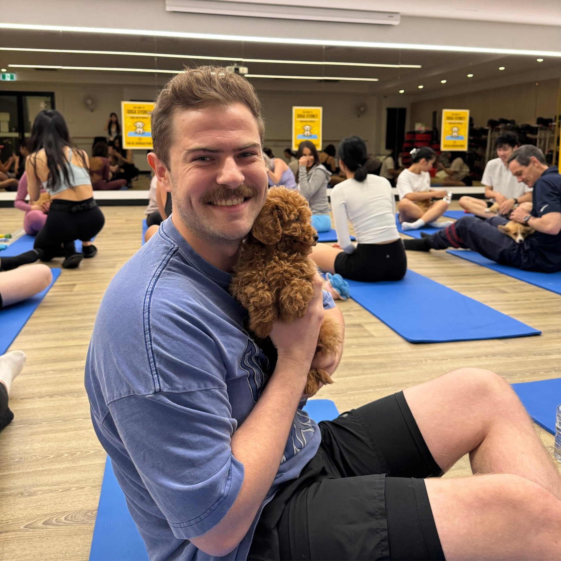 Rhodes | Puppy Yoga - Doga Sydney
