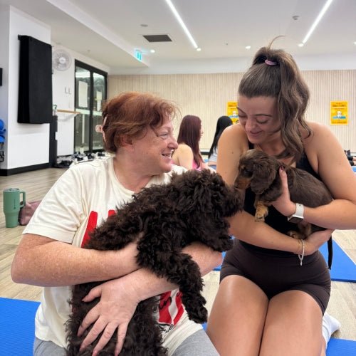 Puppies at a Doga Sydney puppy yoga class in Sydney
