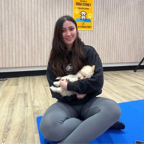 Puppies at a Doga Sydney puppy yoga class in Sydney