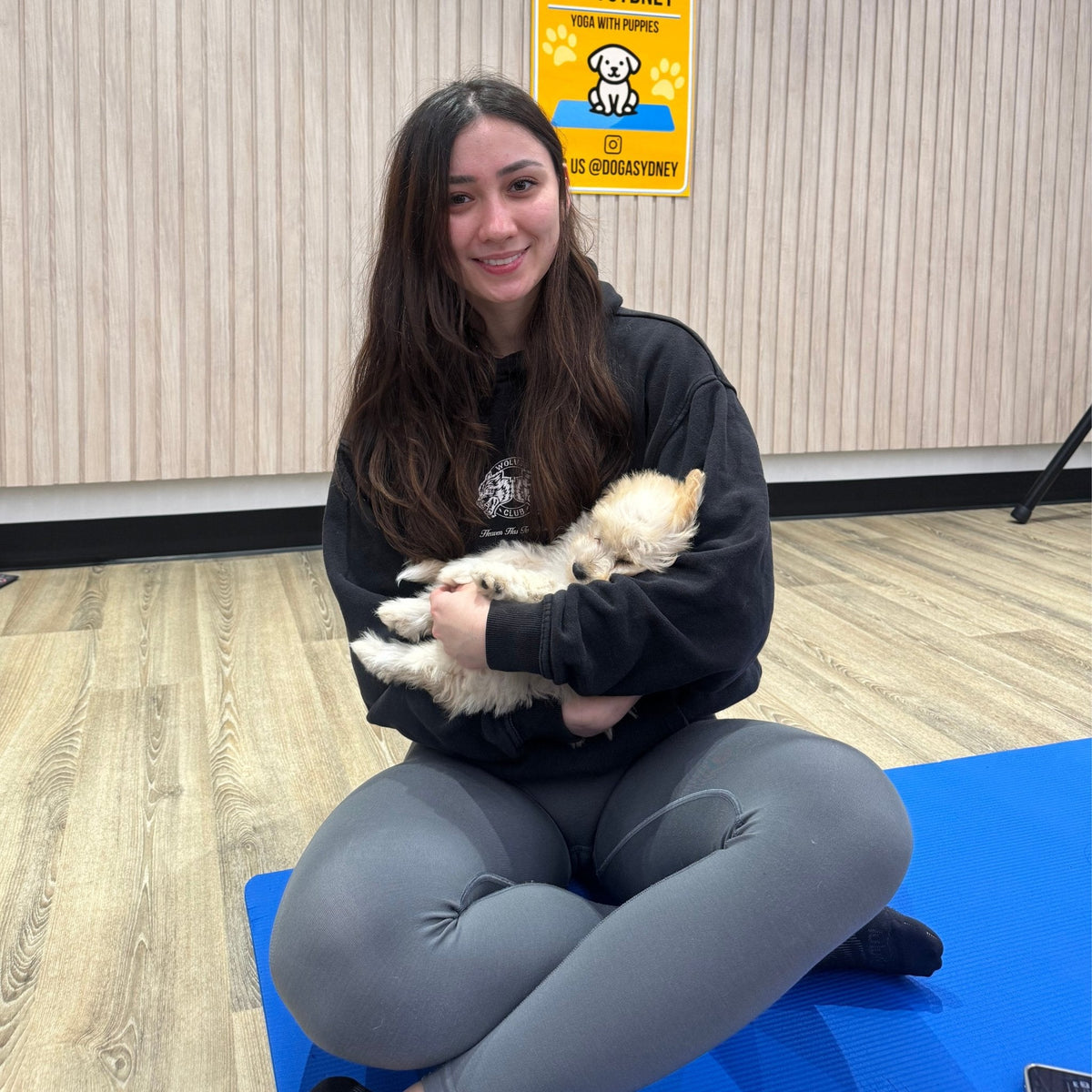 Puppies at a Doga Sydney puppy yoga class in Sydney