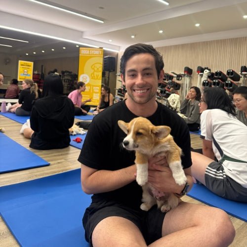 A man on a blue mat holding a corgi puppy at a Doga Sydney puppy yoga class