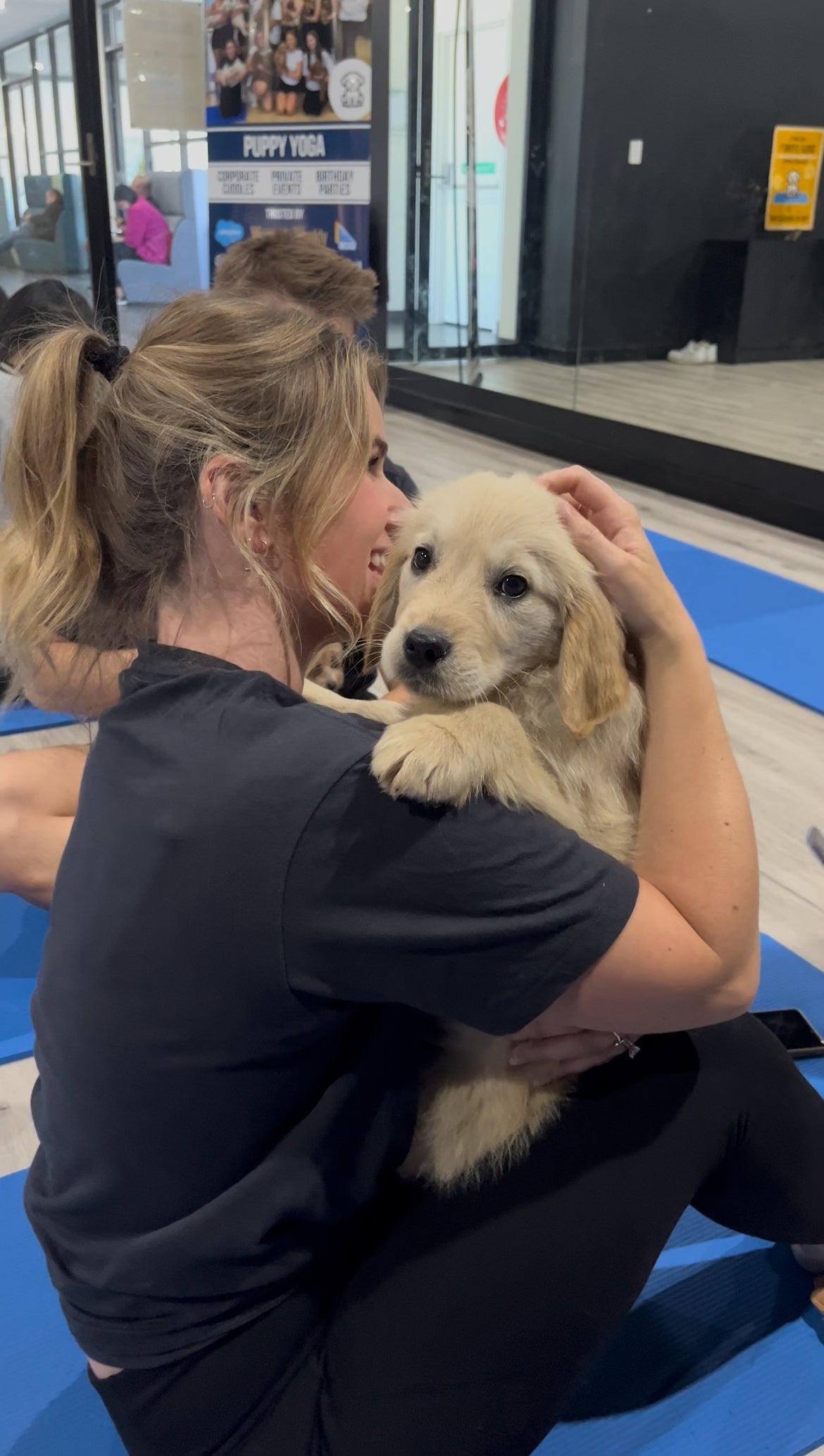 Is a Golden Retriever Right for You? | Temperament, Lifestyle & More - Doga Sydney