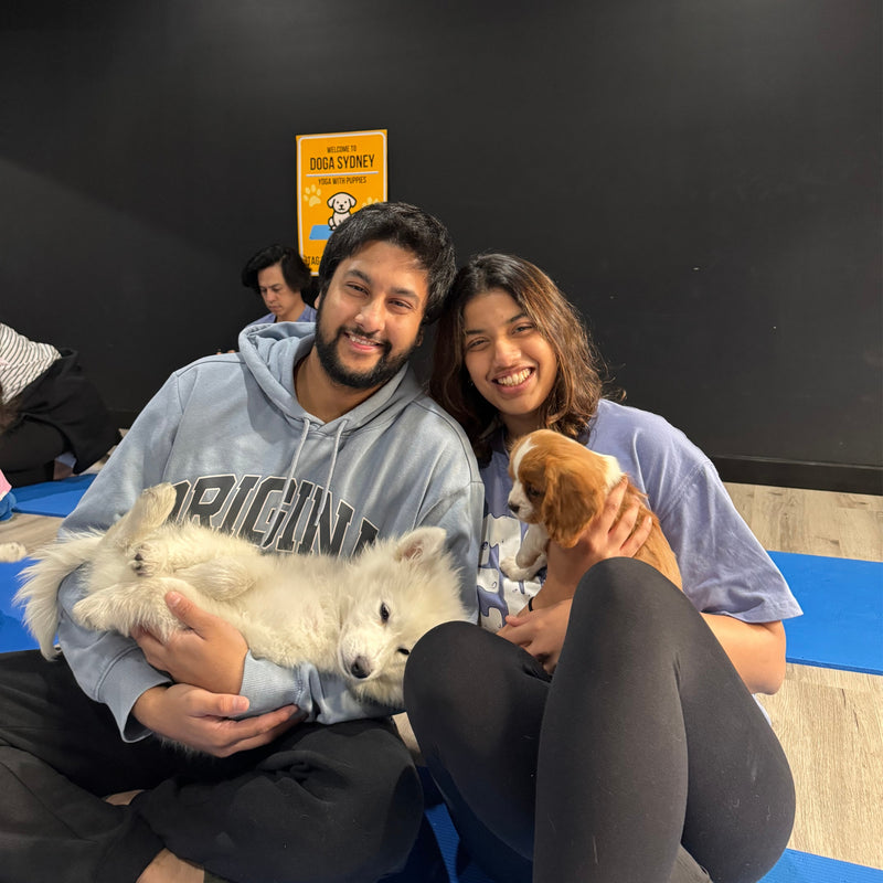 A couple on yoga mats with a white samoyed puppy and a cavalier puppy
