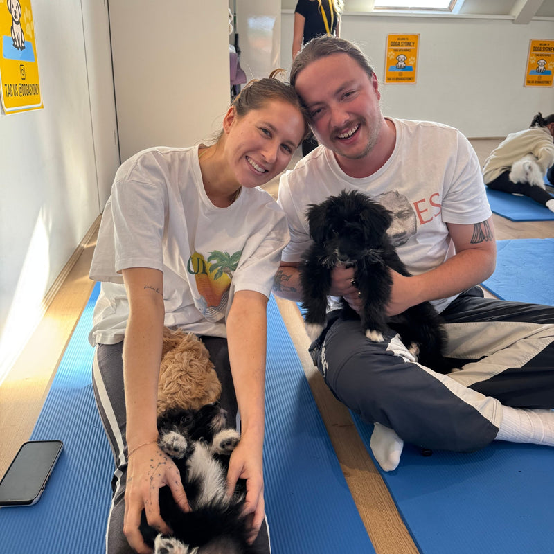 A couple on their yoga mats with fluffy black and white puppies