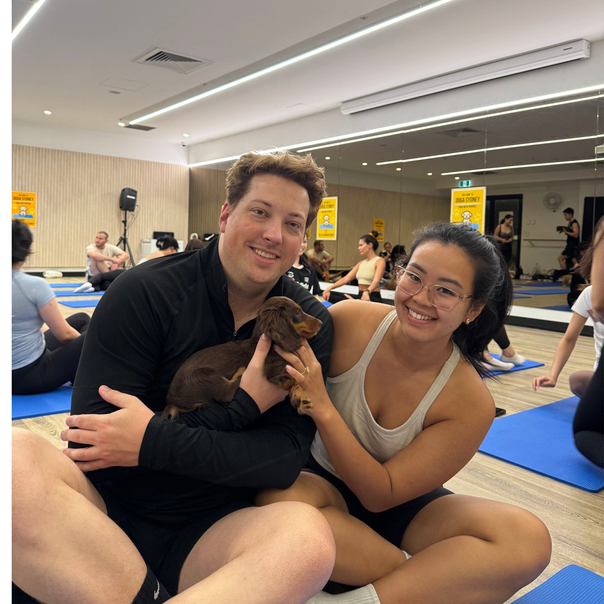 Rhodes | Puppy Yoga - Doga Sydney