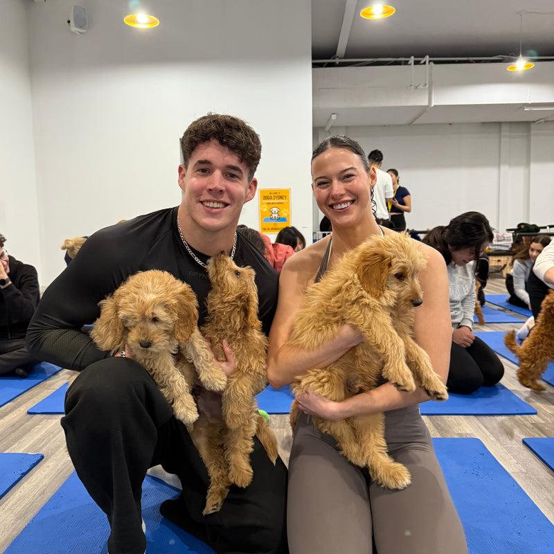 A couple holding three cavoodle puppies at a Doga Sydney puppy yoga class