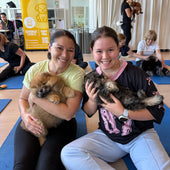 Five Dock | Puppy Yoga - Doga Sydney
