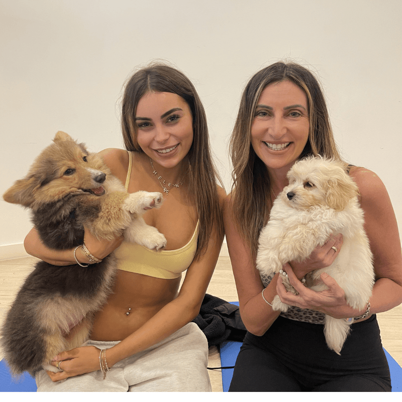 Two women with a fluffy corgi puppy and a cream puppy at a Doga Sydney class