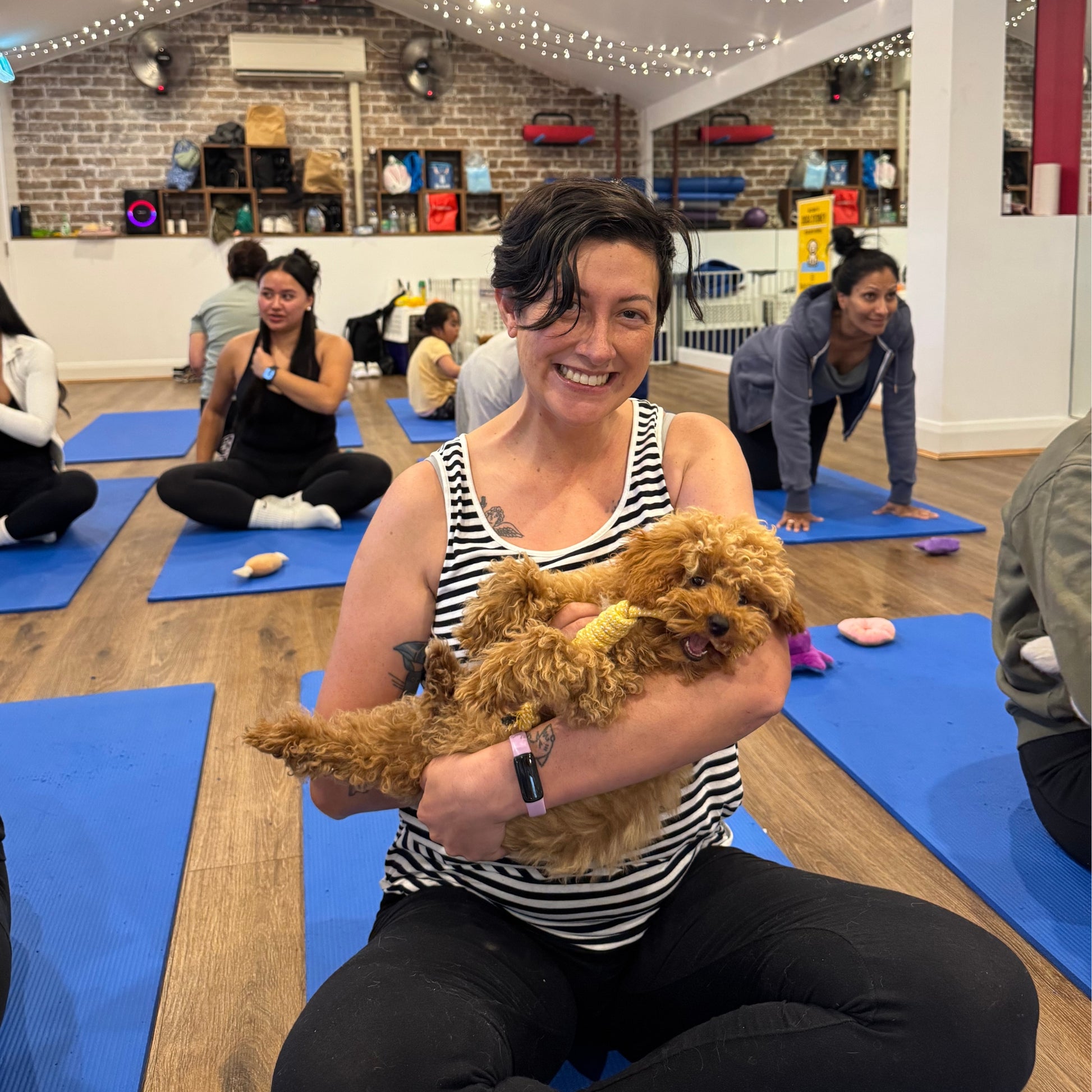 Summer Hill | Puppy Yoga - Doga Sydney