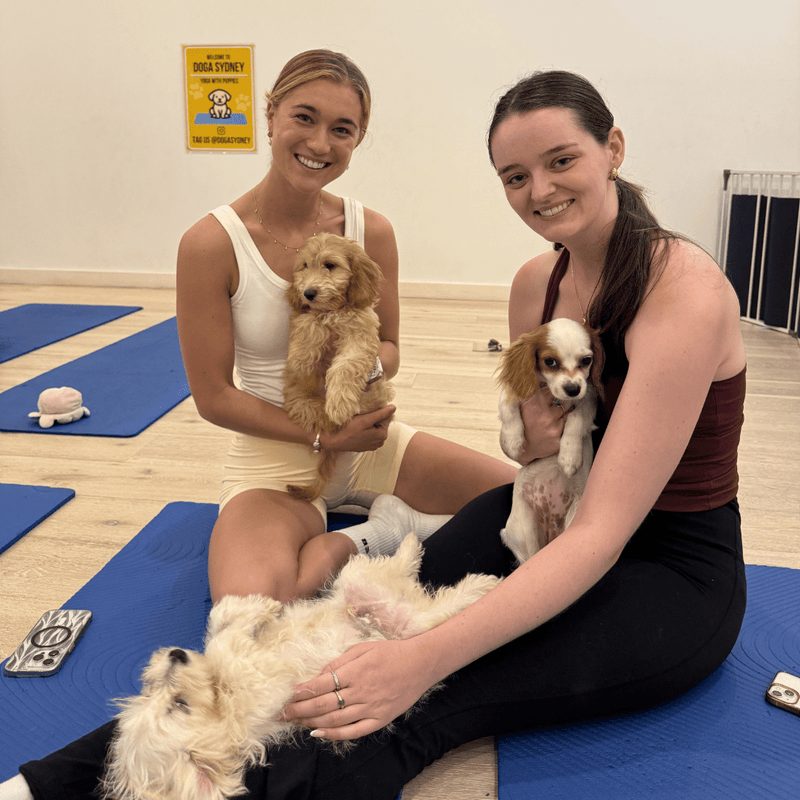 Two friends on yoga mats with three puppies, one asleep on its back