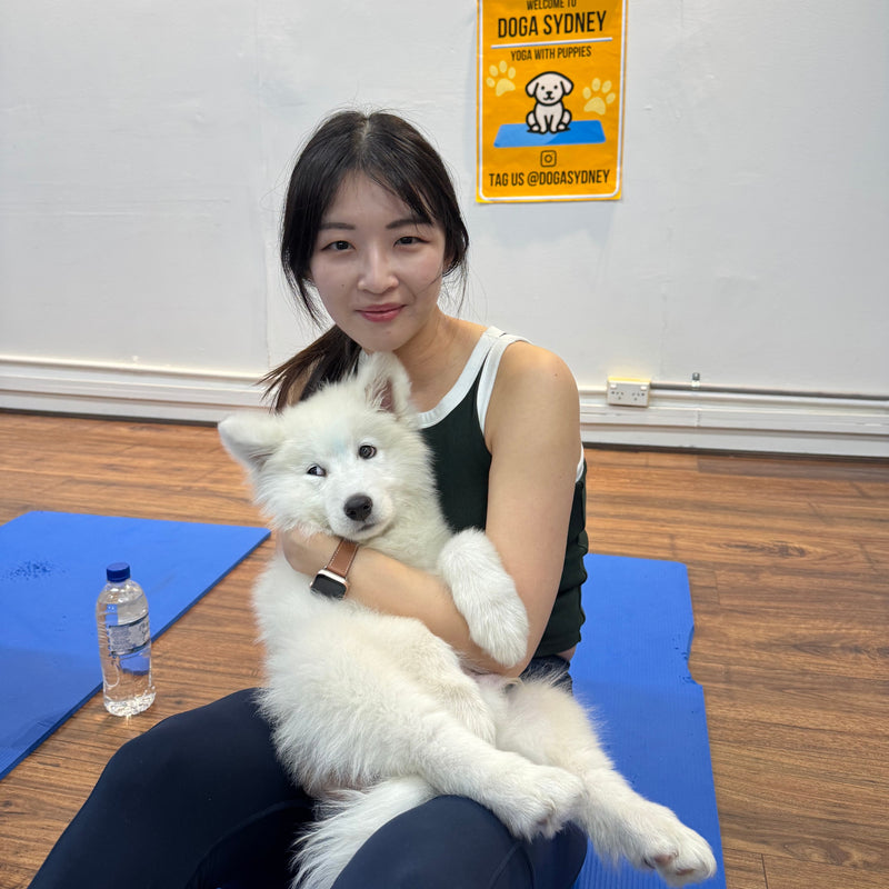 A woman on her yoga mat with a fluffy white samoyed puppy in her lap