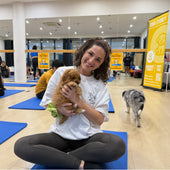 Hurstville | Puppy Yoga - Doga Sydney