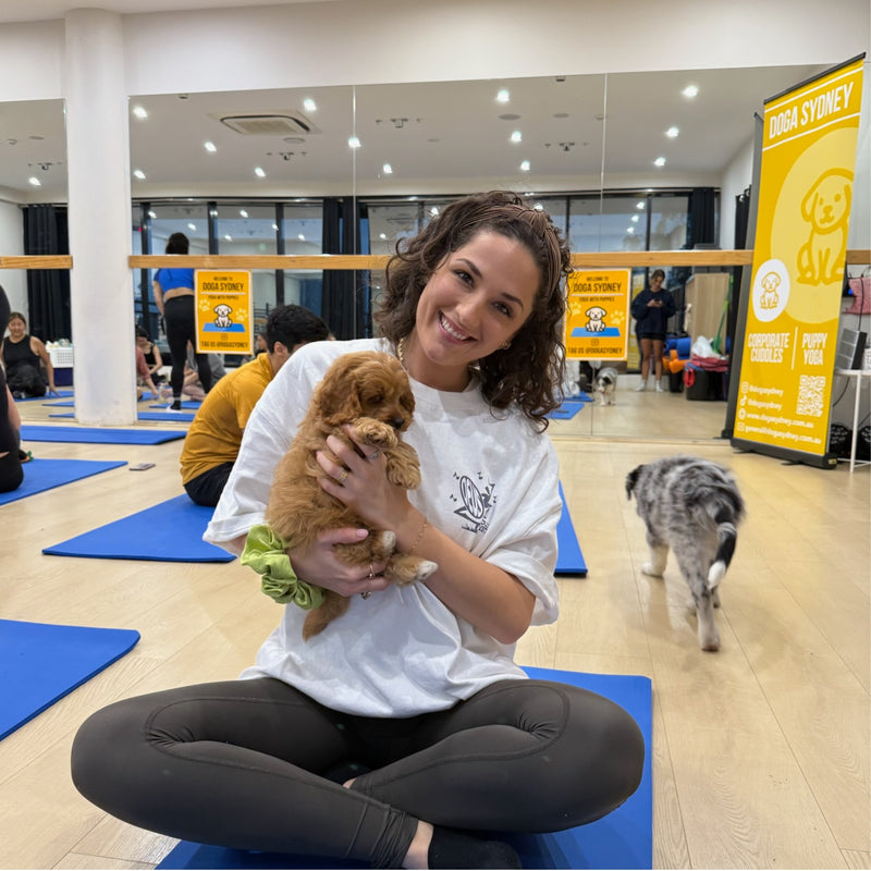 A woman on her yoga mat holding a red cavoodle puppy as a merle puppy walks past