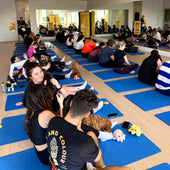 Five Dock | Puppy Yoga - Doga Sydney