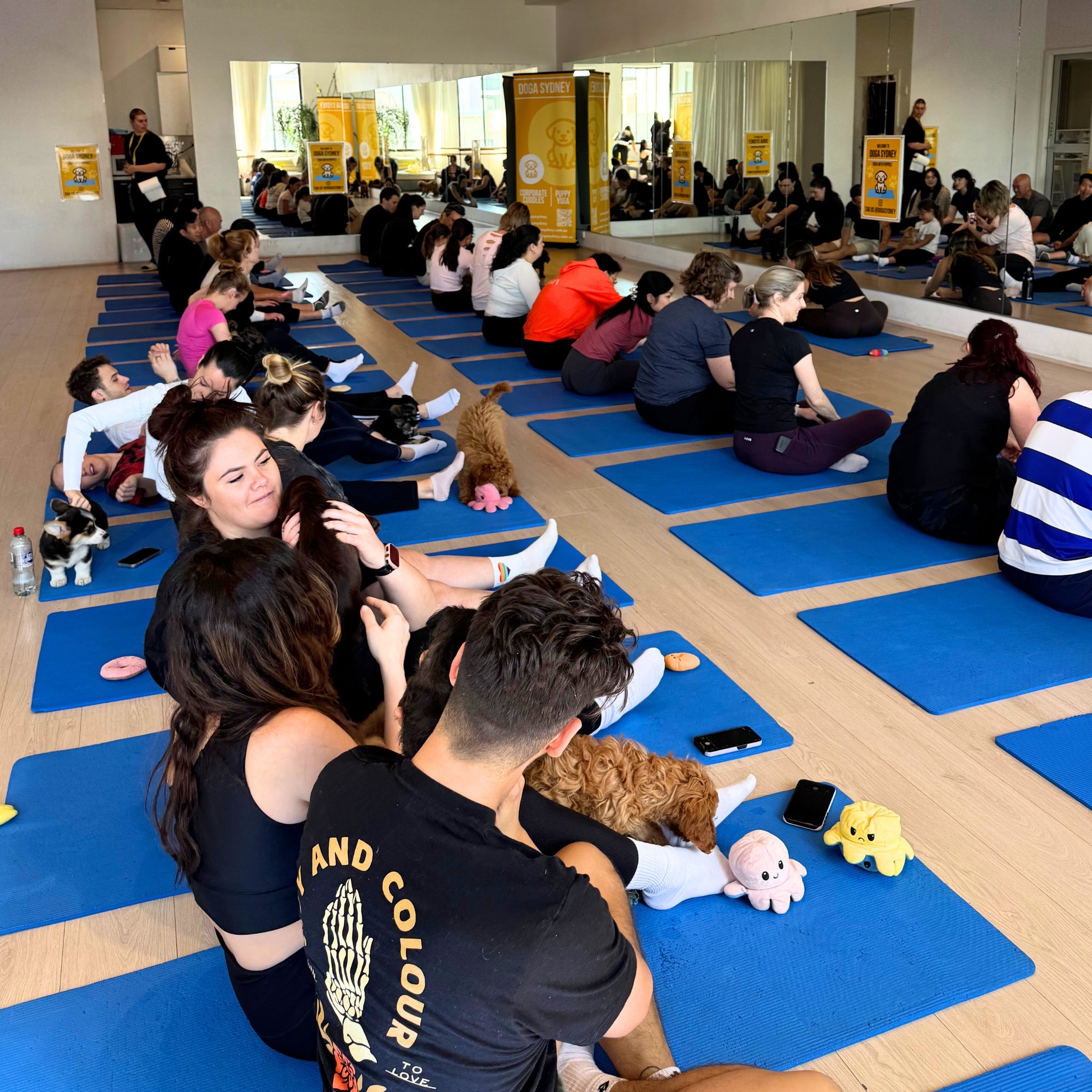 Five Dock | Puppy Yoga - Doga Sydney