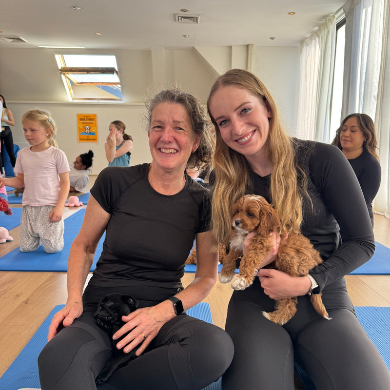 Two women on yoga mats with a cavoodle puppy and a small black puppy