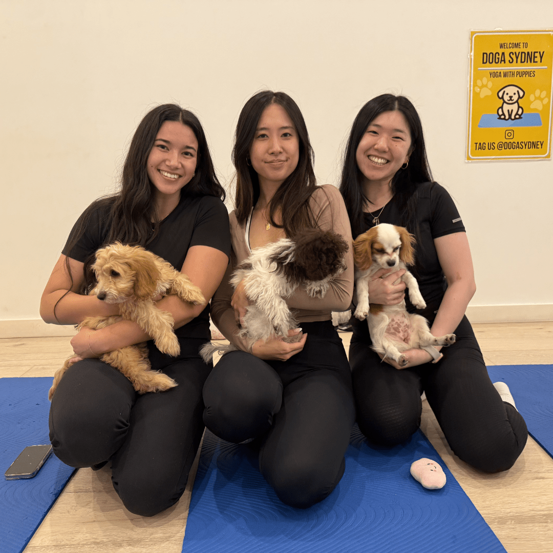 Puppy Yoga Double Bay - Doga Sydney