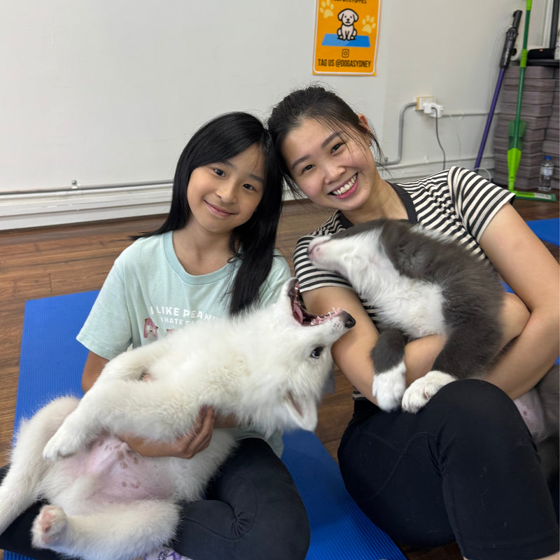 A girl and a woman laughing as a white samoyed puppy rolls over in their laps