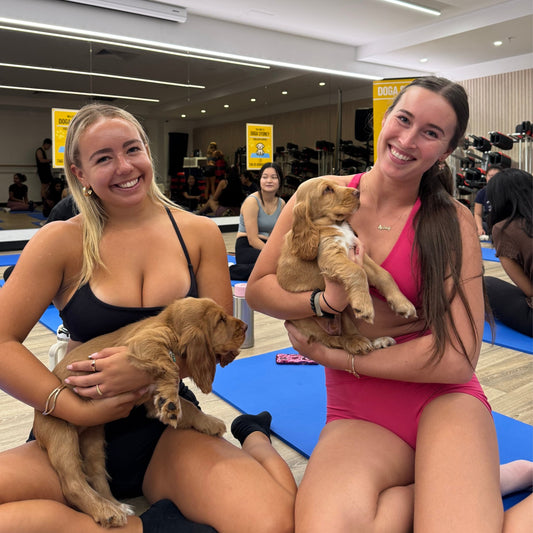 Rhodes | Puppy Yoga - Doga Sydney