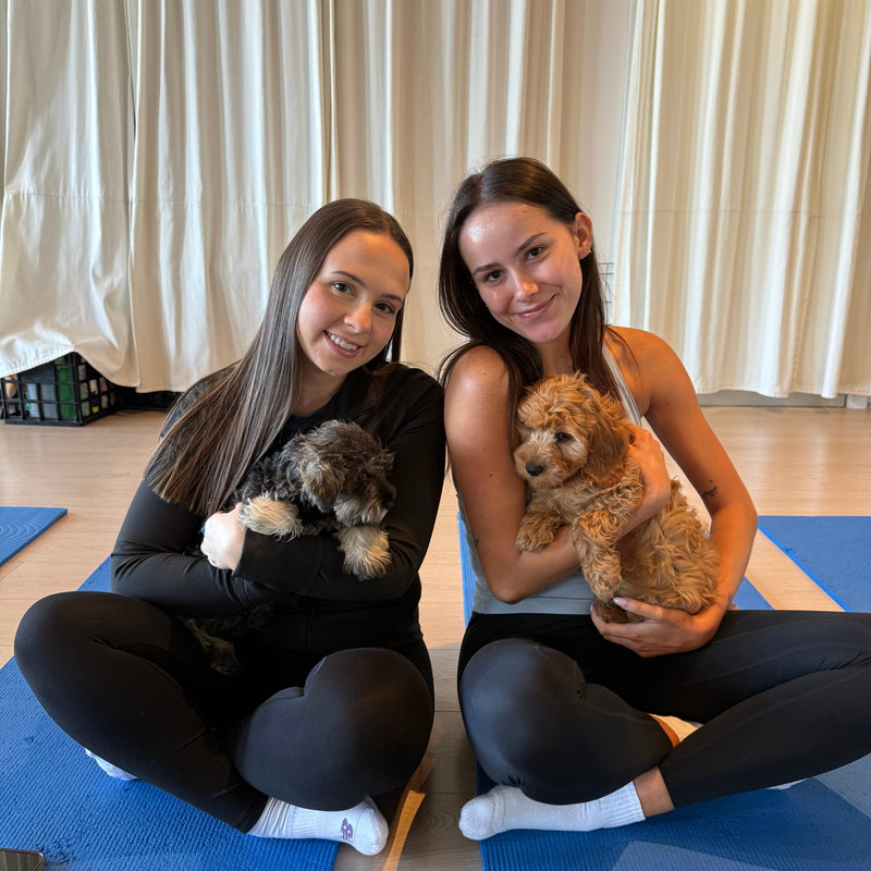 Five Dock | Puppy Yoga - Doga Sydney