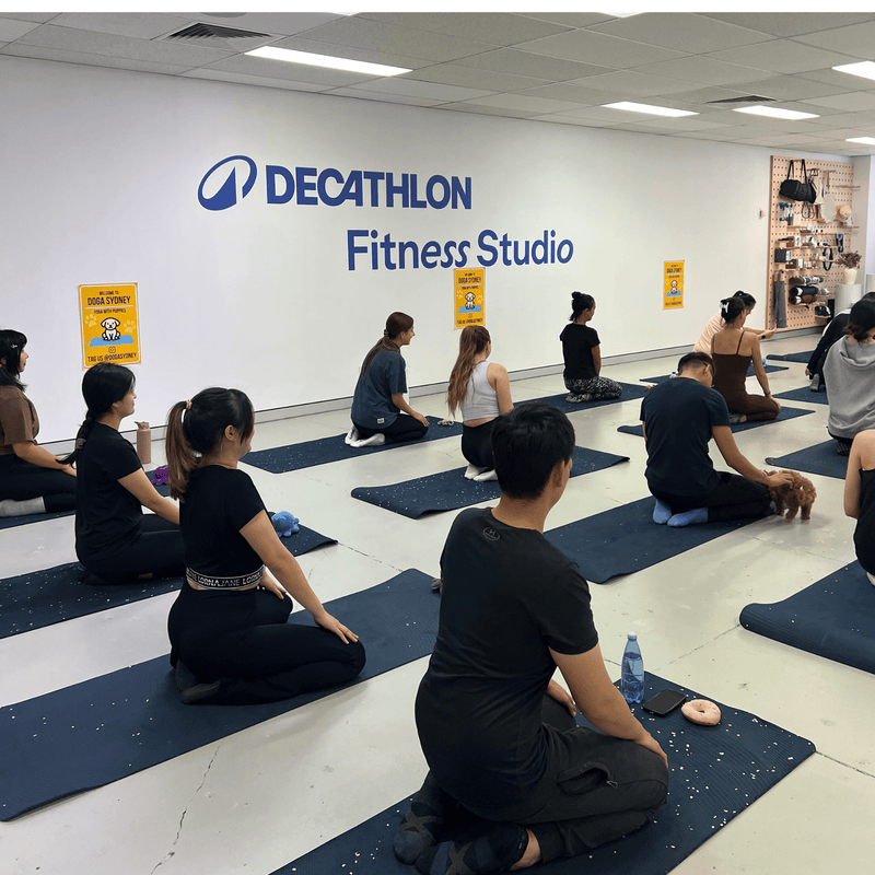 People kneeling on yoga mats during a Doga Sydney puppy yoga class