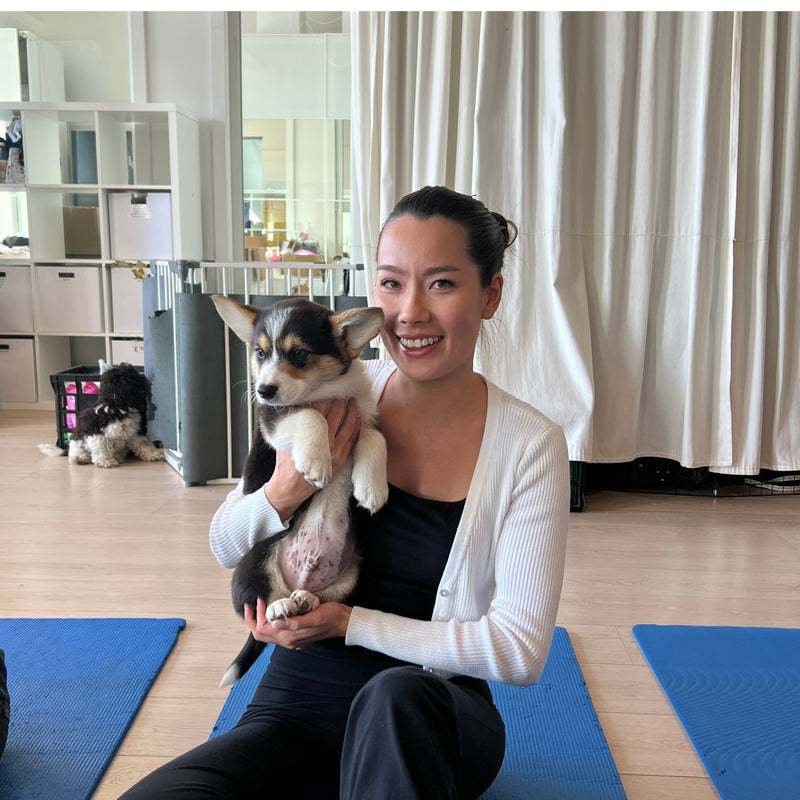 Five Dock | Puppy Yoga - Doga Sydney