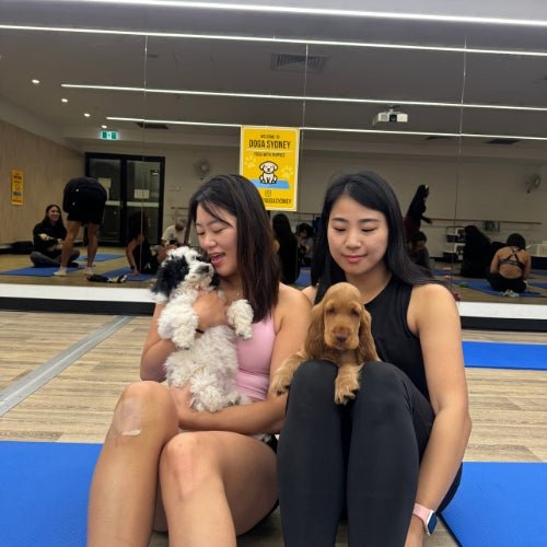 Rhodes | Puppy Yoga - Doga Sydney