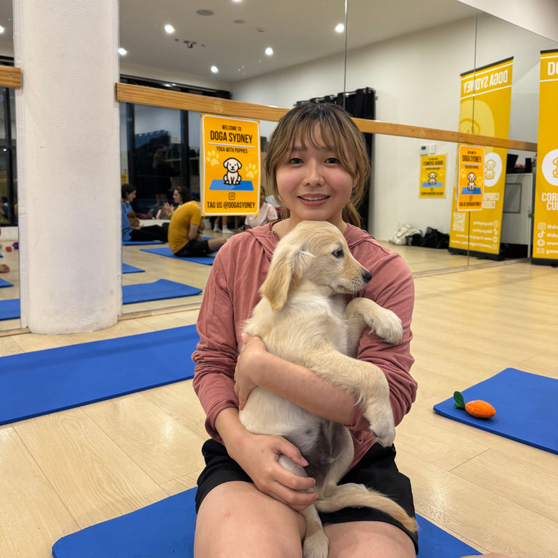 A woman holding a golden retriever puppy on her yoga mat