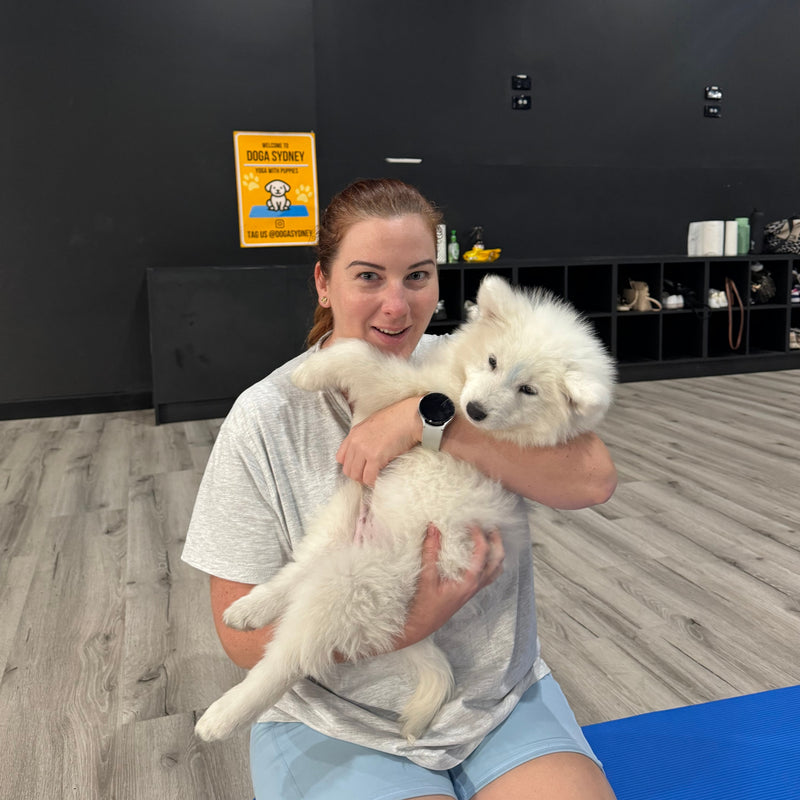 A woman hugging a white samoyed puppy