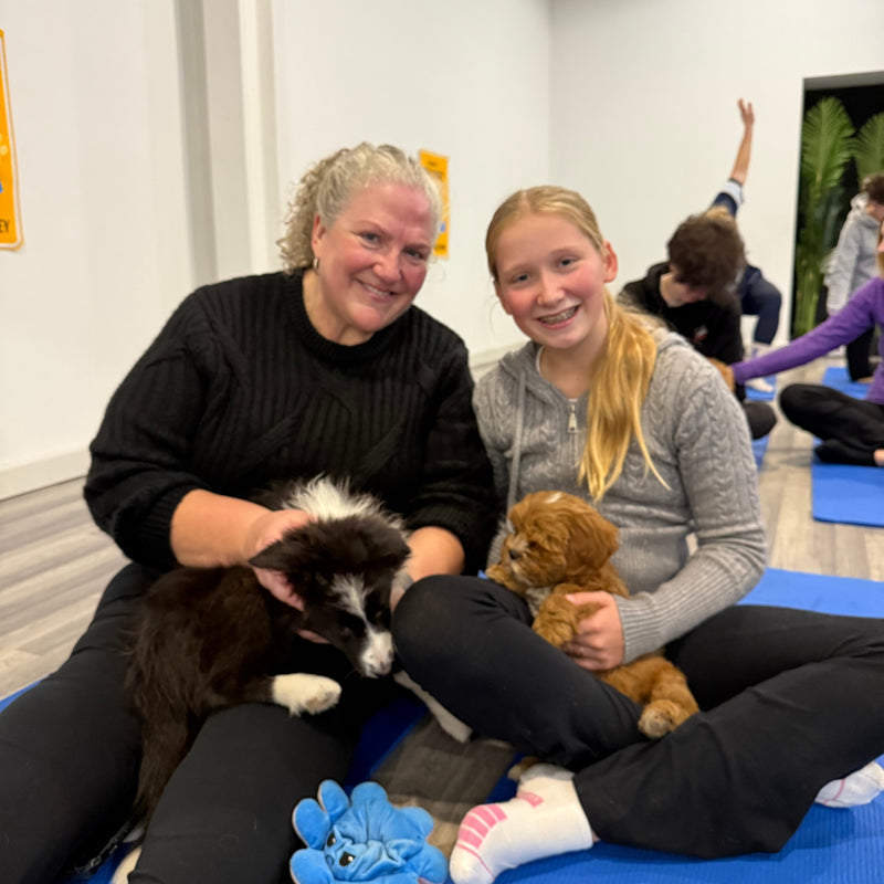 A woman and a girl on yoga mats with a border collie puppy and a cavoodle puppy