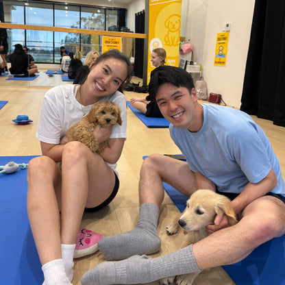 Hurstville | Puppy Yoga - Doga Sydney