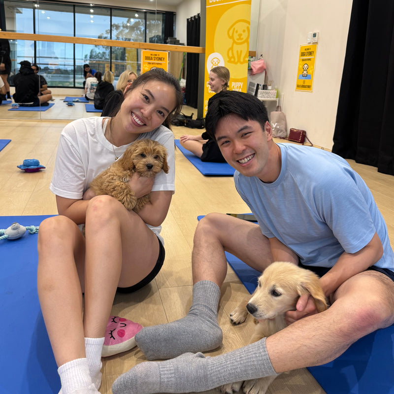 A couple on yoga mats with a cavoodle puppy and a golden retriever puppy