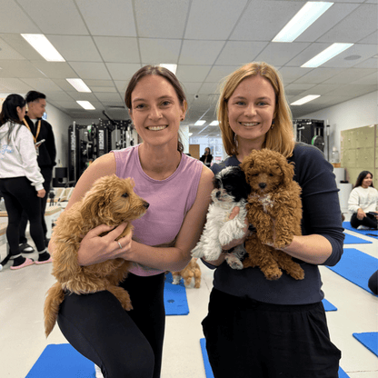 Wynyard (Sydney CBD) | Puppy Yoga - Doga Sydney