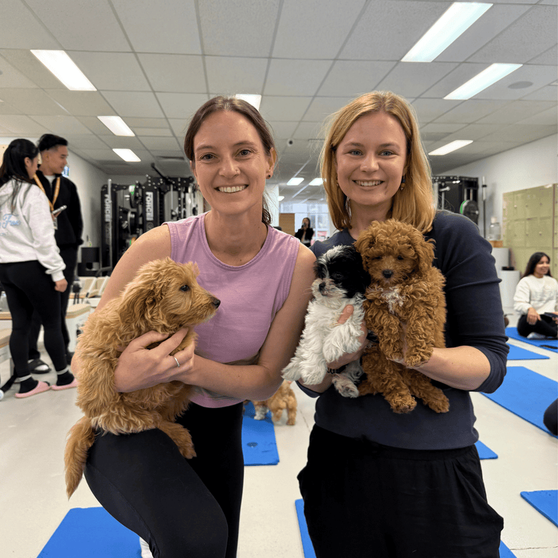 Two friends holding a cavoodle, a black and white puppy and a red cavoodle