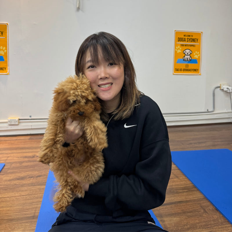 A woman holding a fluffy red cavoodle puppy up to her cheek