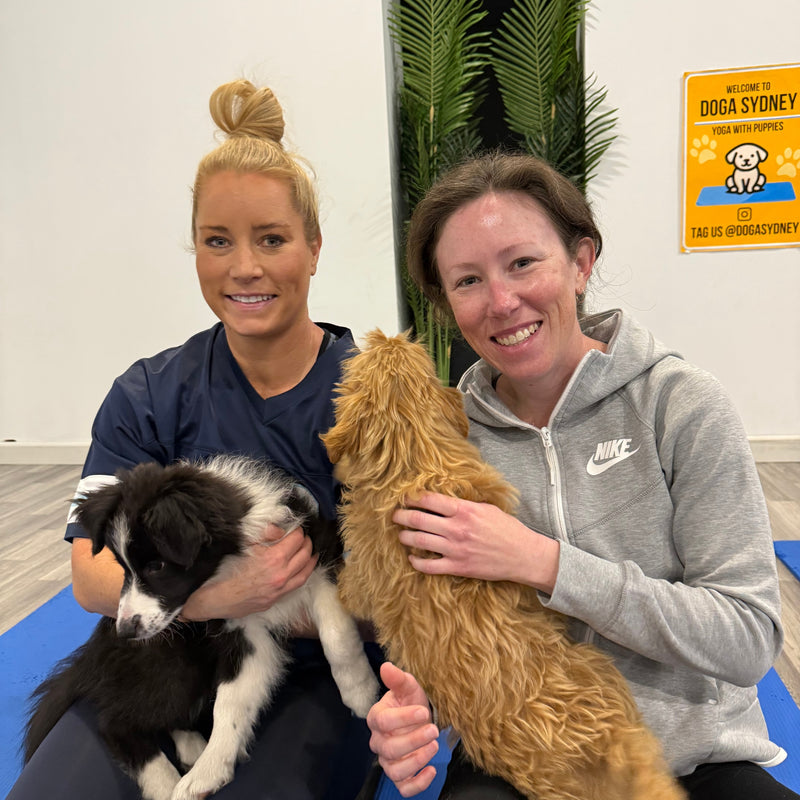 Two women holding a border collie puppy and a fluffy apricot puppy