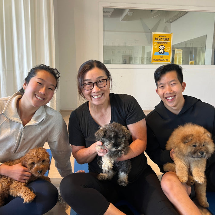 Five Dock | Puppy Yoga - Doga Sydney