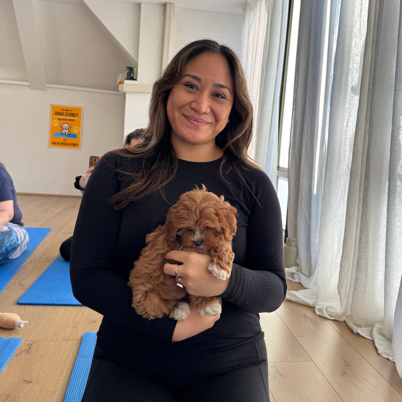A woman holding a red cavoodle puppy on her yoga mat
