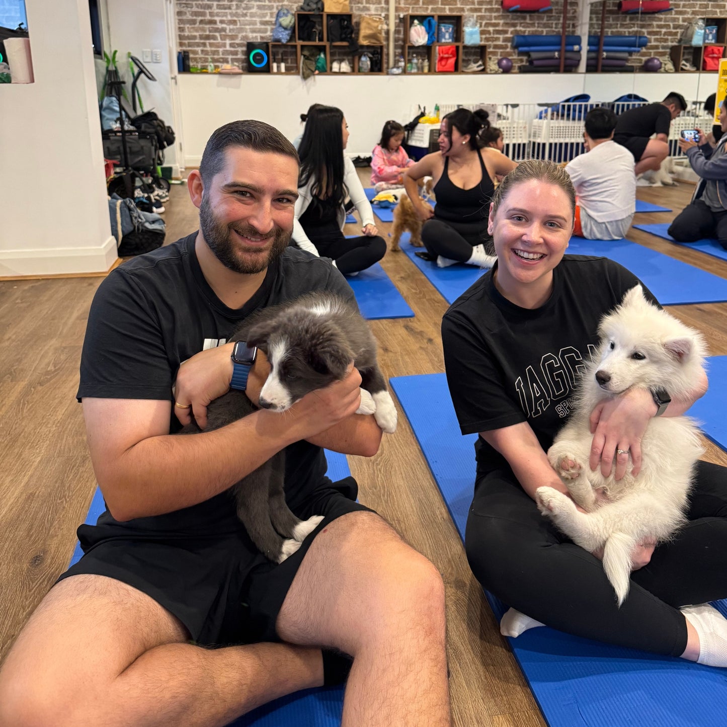 Summer Hill | Puppy Yoga - Doga Sydney