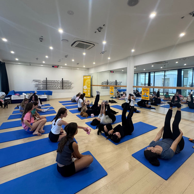 People stretching on blue yoga mats during a Doga Sydney puppy yoga class