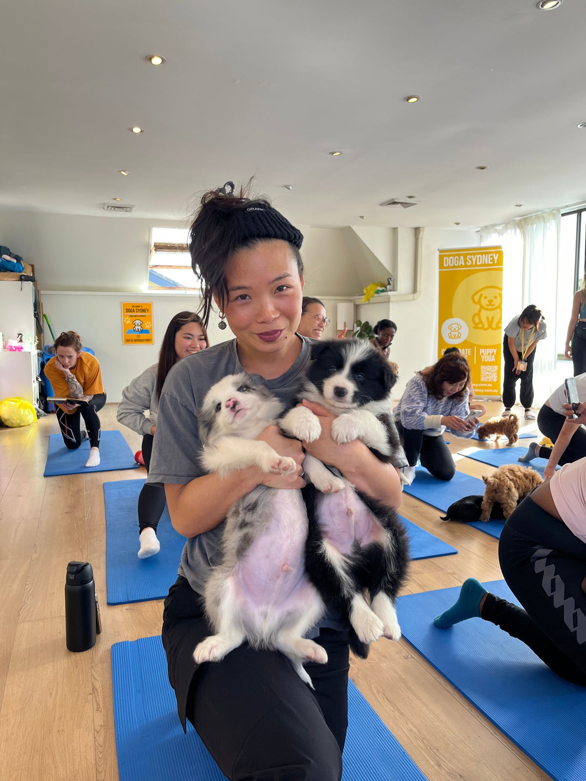 Puppy yoga class at Doga Sydney