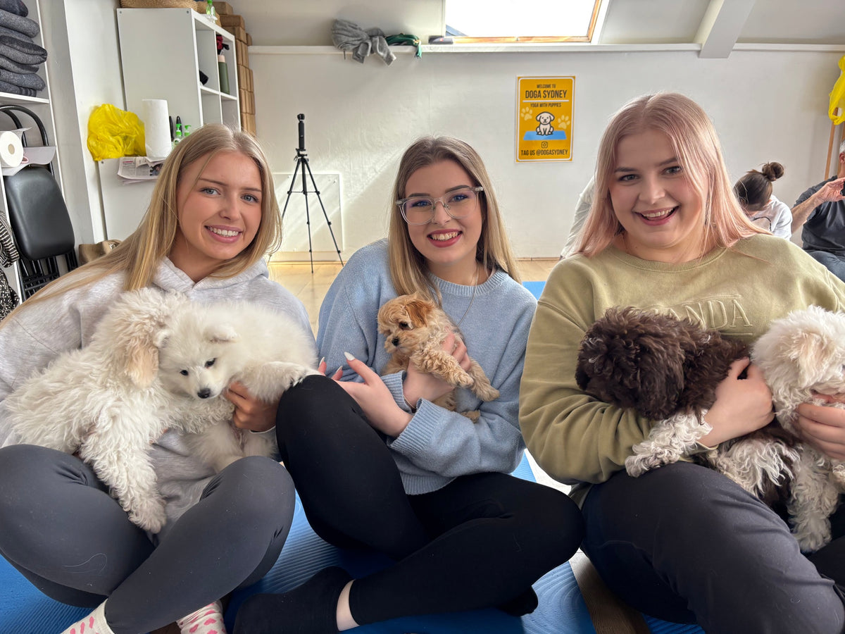Three friends each holding a fluffy puppy at a Doga Sydney class