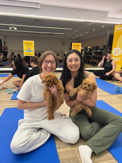 Liverpool | Puppy Yoga