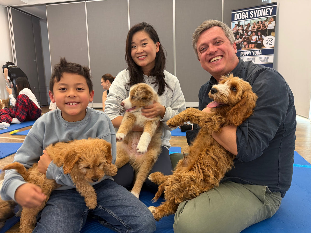 A family with a young boy holding puppies at a Doga Sydney class